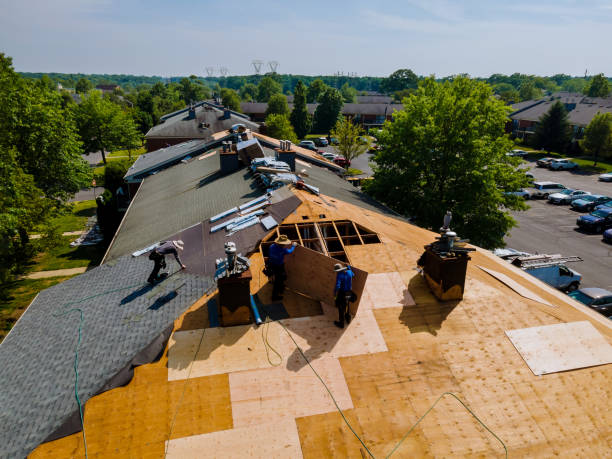 Roof Gutter Cleaning in Berkeley Lake, GA